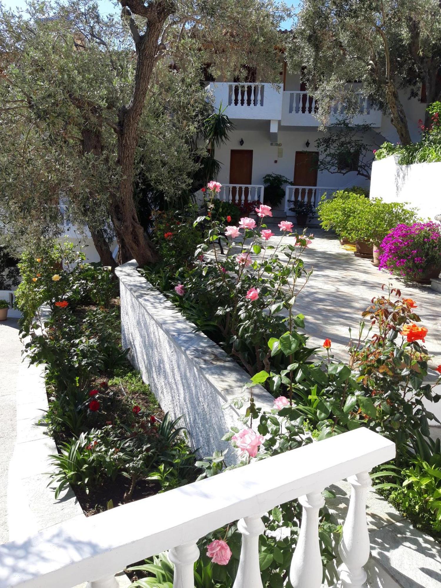 Olive Grove View Apartment Skiathos Town Exterior photo