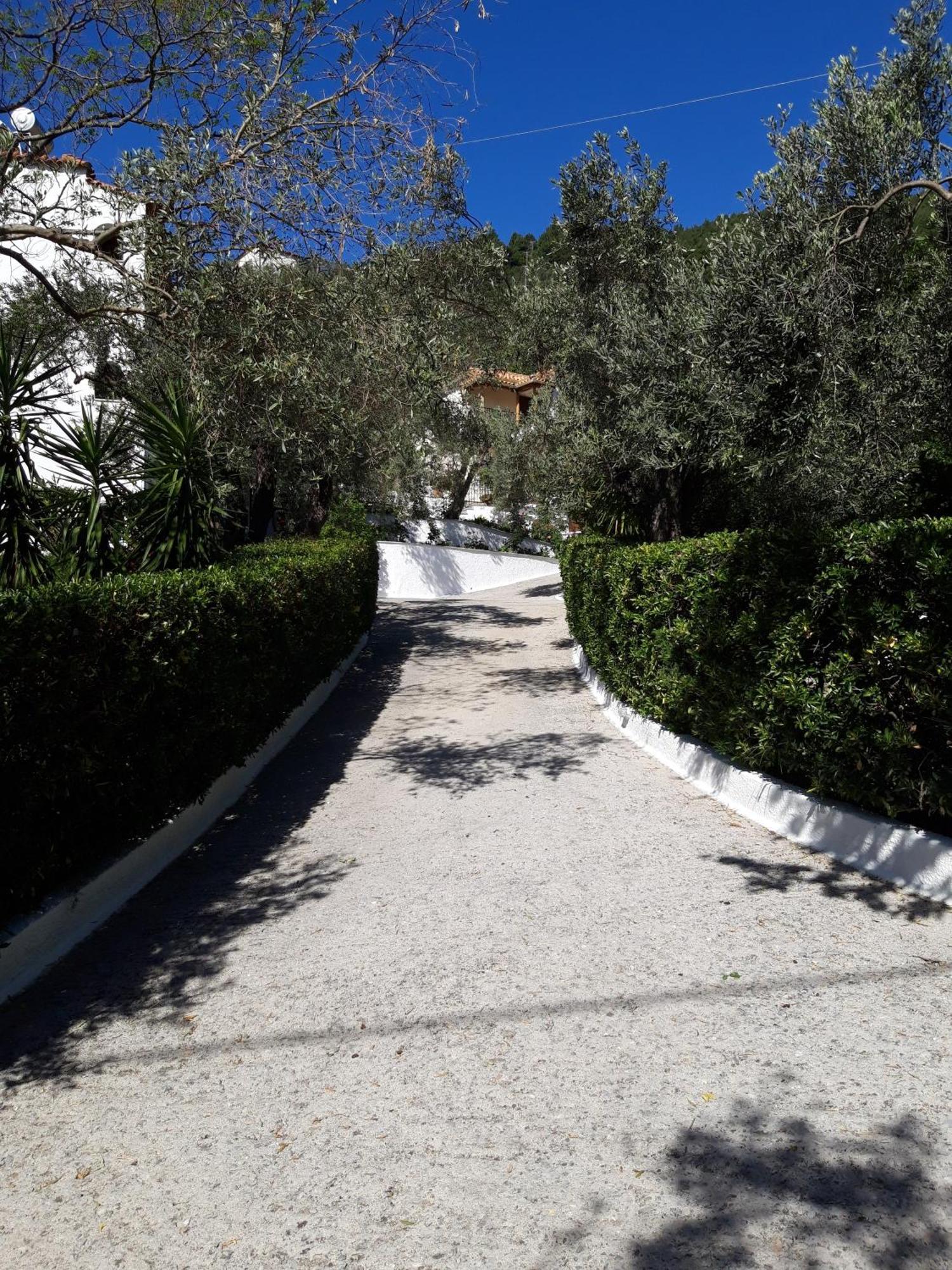 Olive Grove View Apartment Skiathos Town Exterior photo