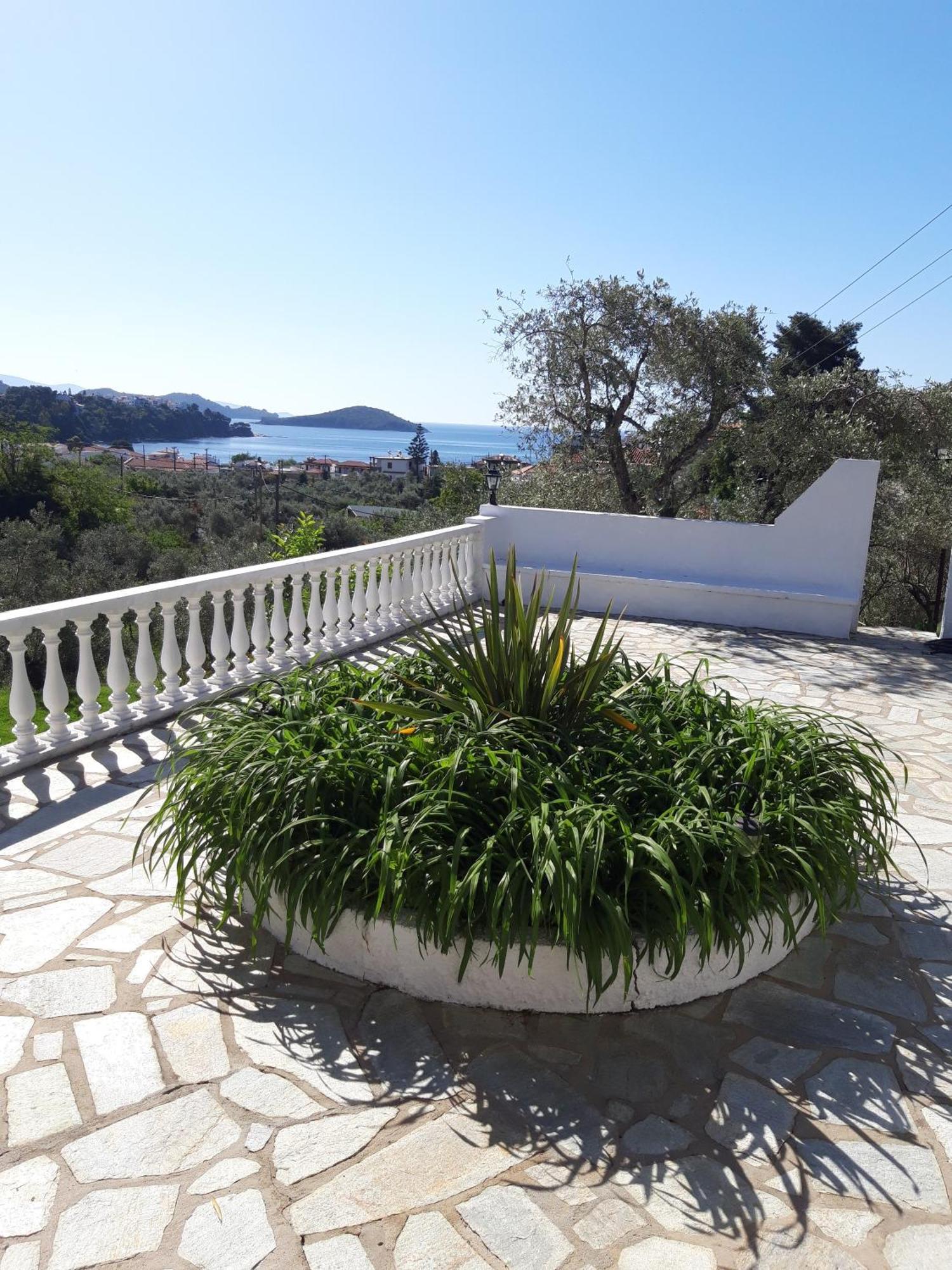 Olive Grove View Apartment Skiathos Town Exterior photo